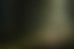Фотография ролевого квеста Остаться в живых от компании Квест-кафе (Фото 1)