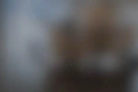 Квест «Сокровища пиратов» от Империя Квестов