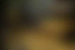 Фотография ролевого квеста Золото Калифорнии от компании Квест-кафе (Фото 1)